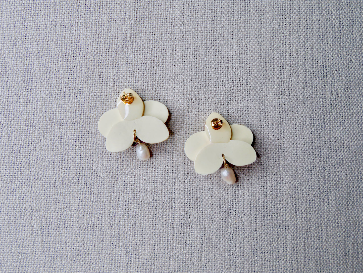 Vanilla orchid flower